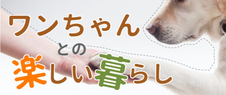 ワンちゃんとの楽しい暮らし